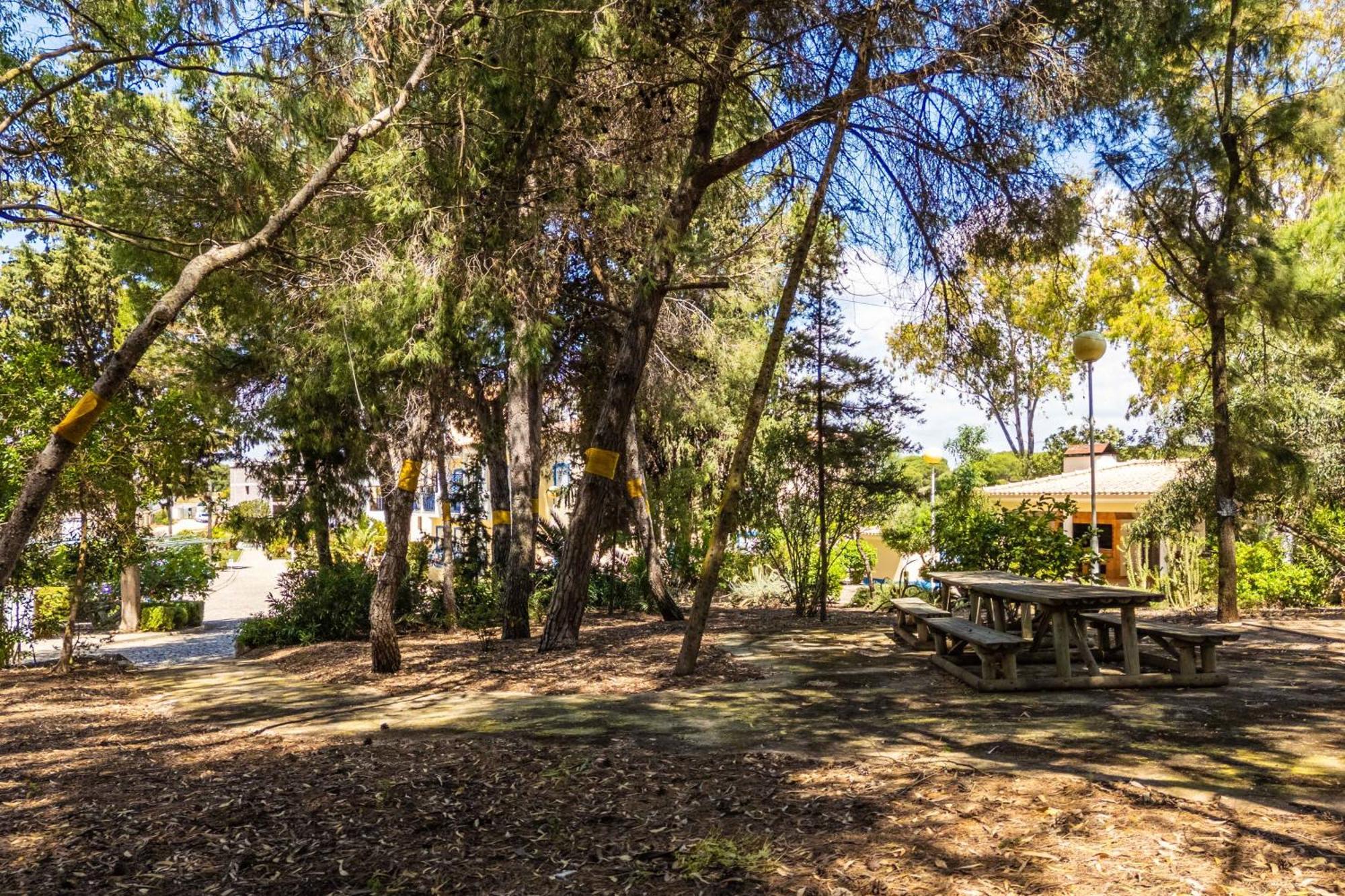 Apartamentos Bosque Sao Jose アルブフェイラ エクステリア 写真